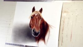 Portrait Painting of a Horse in Oil dry brush technique