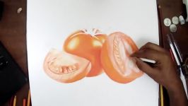 Tomato speed drawing  Prismacolor Pencils