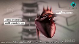 حمله قلبی چگونه اتفاق می افتد؟