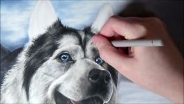 Husky Speed Drawing Drawing a realistic husky with a twilight background