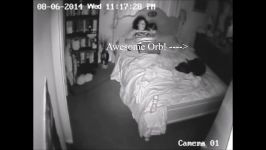 Paranormal Activity CCTV Ghost Footage Bossy the Psychic Dog