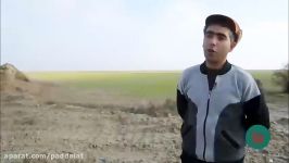 اجرای طرح زه کشی اراضی کشاورزی استان گلستان