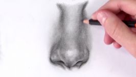 DOS DONTS How To Draw a Realistic Nose  Step by Step Drawing Tutorial