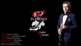 Babak Yousefi  Flamenco بابک یوسفی  فلامنکو