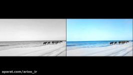رنگی سازی تصاویر فیلم های سیاه سفید توسط هوش مصنوعی