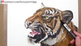 How To Draw a Realistic Tiger  Marker + Coloured Pencil Drawing Tutorial