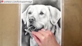 HOW TO DRAW A DOG Realistic Drawing Tutorial Step by Step