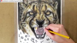 How to Draw a Cheetah using Coloured Pencils  Realistic Animal Drawing Tutorial