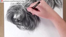 How to Draw Fur for Beginners  Drawing Realistic Fur with Graphite Step by Step