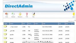 مدیریت فایل ها در دایرکت ادمین