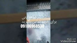 دوستان برای عضو کانال عاشقان سهره کرج تلگرام پیام بدید09106968530