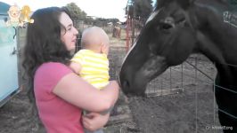 لحظاتی سرگرم کننده خنده دار کودک اسب