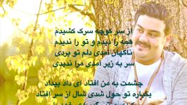 زیبا نگارا  امیرحسین افتخاری Lyrics همراه متن