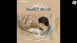 Shahram Behzadpour – Zibaeie Mahz 2019 شهرام بهزادپور  زیبایی محض