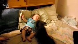 Dog Protecting Baby Compilation NEW