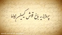 شعر پروانه یه باخ قوش کیمین اولما شعر ترکی