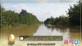 اکبری؛ زنگ تفریح، مرداب انزلی در پاییز