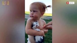 Funny Cats Annoying Babies and Babies Annoying Cats PART 05  Youtube