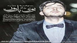 آهنگ پویا سالکی به نام بوی بارون