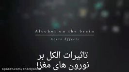 تأثیر الکل بر یاخته های عصبی مغز