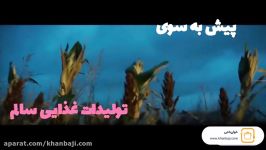 تولیدات غذایی سالم