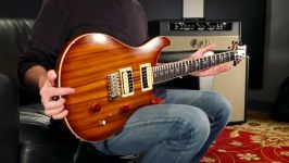 PRS SE Custom 24 Zebrawood Vintage SB