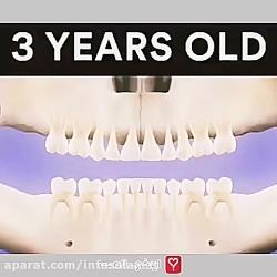 مراحل دندان درآوردن نوزاد  اینفوسلامت