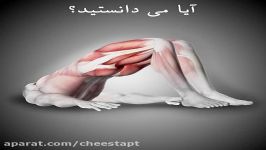 چگونه درد کمر خود را کاهش دهیم