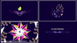 پروژه آماده افترافکت گل های مدرن  Videohive Modern Floral Pack 20192246