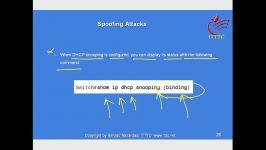 CCNP Spoofing Attacks