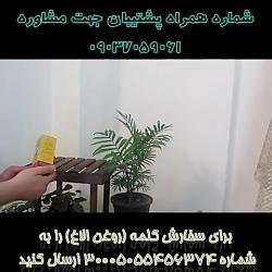 ازبین بردن ترک های پوستی شکم بعد زایمان