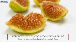 فواید مهم انجیر برای سلامتی