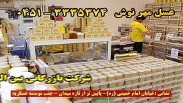 عسل مهرنوش در شبکه تلویزیون استانی