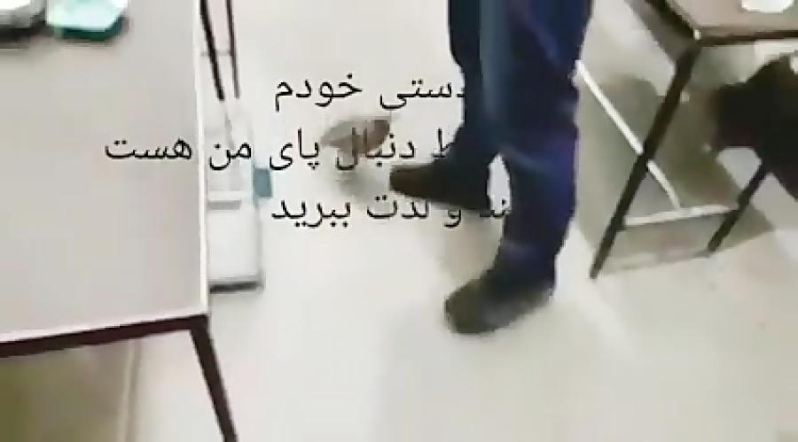 کبک دستی علی خضری مهاباد