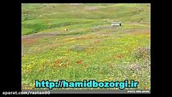 موسیقی تالش . هم دیلای