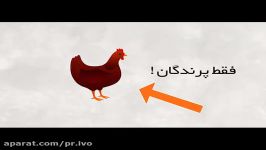 آشنایی آنفلوانزای پرندگان 2 مجموعه نگی نگفتیا