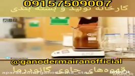 خط تولید شرکت قهوه گانودرماتماس09157509007 ganodermairanofficial