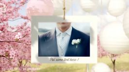 پروژه افترافکت نمایش لوگو The Blossom Wedding Photo Gallery Slideshow