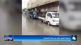 شاهد معجزة ظهور بقرة من فتحة المجاري