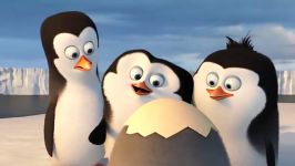 تریلر انیمیشن Penguins of Madagascar 2014