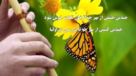 ای دل چه اندیشیده ای در عذر آن تقصیرها مولانا حامد امجدیان