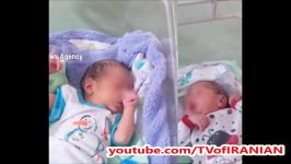 ماجرای هجوم مورچه‌ها به نوزادان رها شده در کنار سطل زباله بیمارستان در بندرعباس