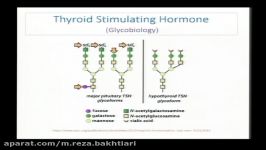 چالش های استانداردسازی اندازه گیری هورمون تیروتروپین TSH