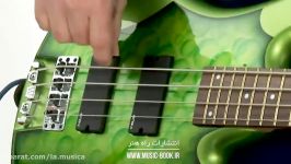 Funk Bass for Beginners