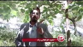 Ali Zandevakili  دختر زیبای ایرانی هدیه رویایی خواننده سرشناس غافلگیر شد