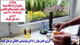 آلرژی فصل بهار را این نوشیدنی خانگی درمان کنید