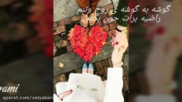 کلیپ عاشقانه جدیدوزیبا