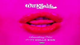 آهنگ Wiz Khalifa Ty Dolla Sign به نام Something New