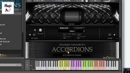 Best Service  Accordions 2  Demo