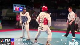 احسان نقیب زاده انکو پرو  TKD قهرمانی جهان 2013